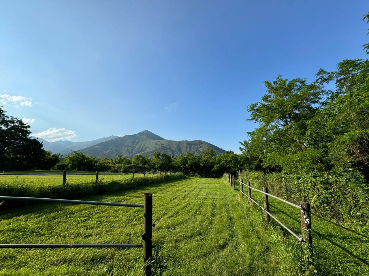 Centro ippico In vendita Torino