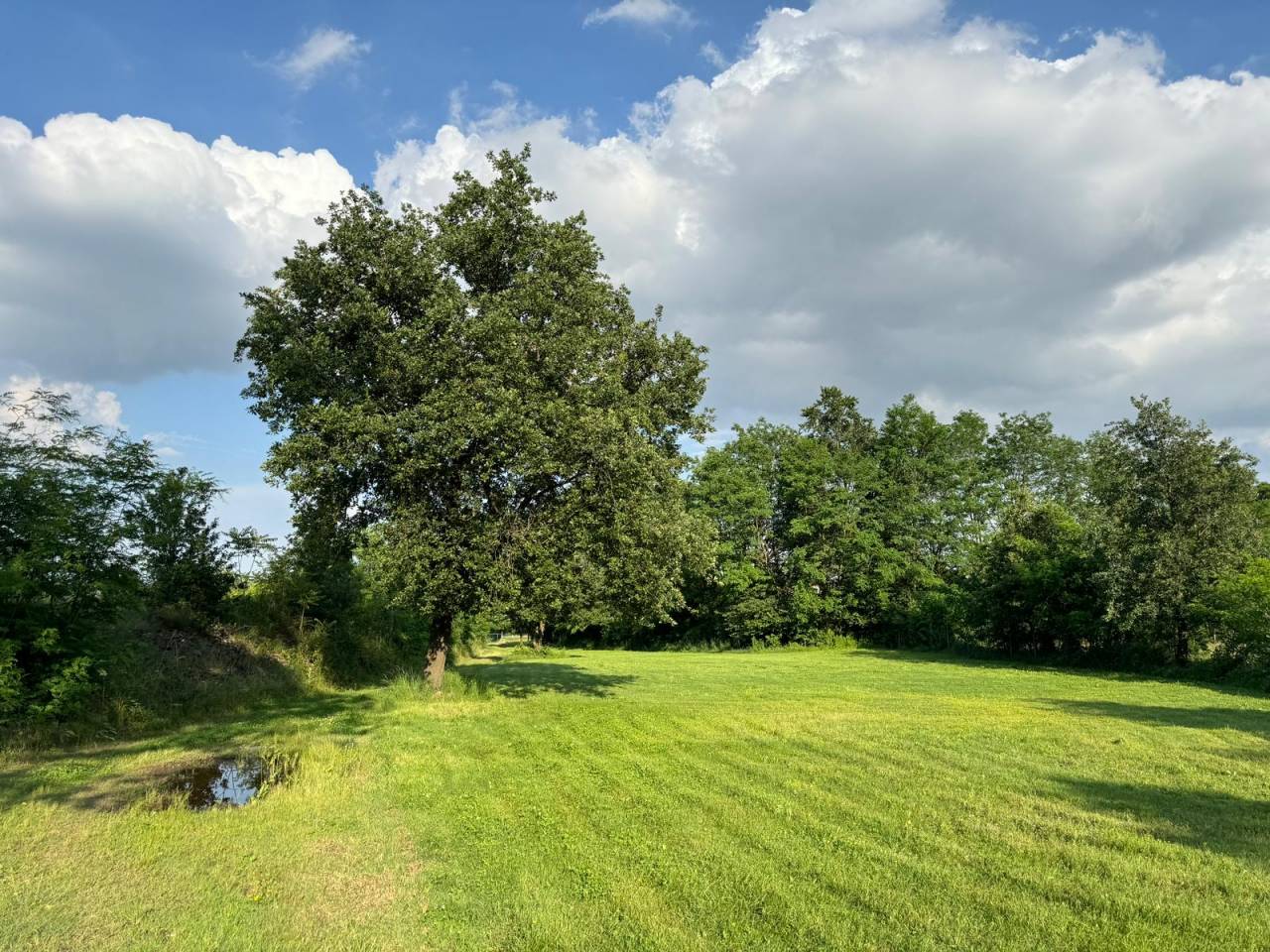 Centro ippico In vendita Torino