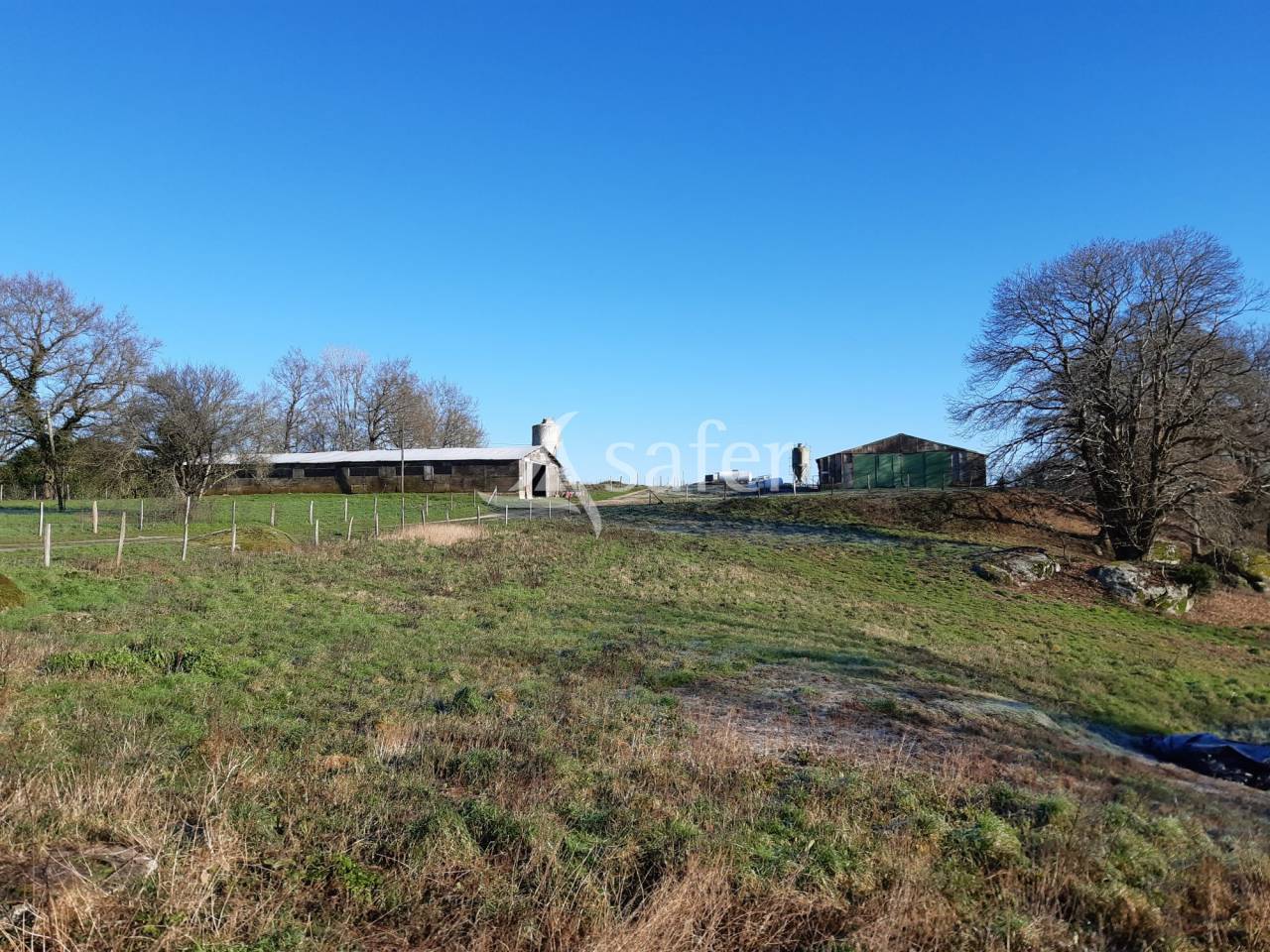 Azienda avicola In vendita Deux-Sèvres