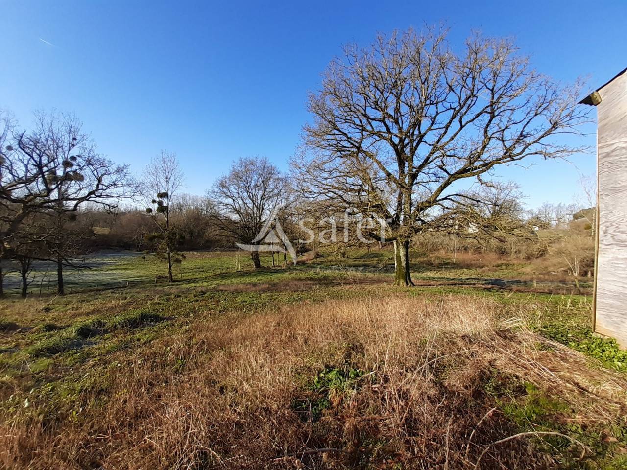 Azienda avicola In vendita Deux-Sèvres