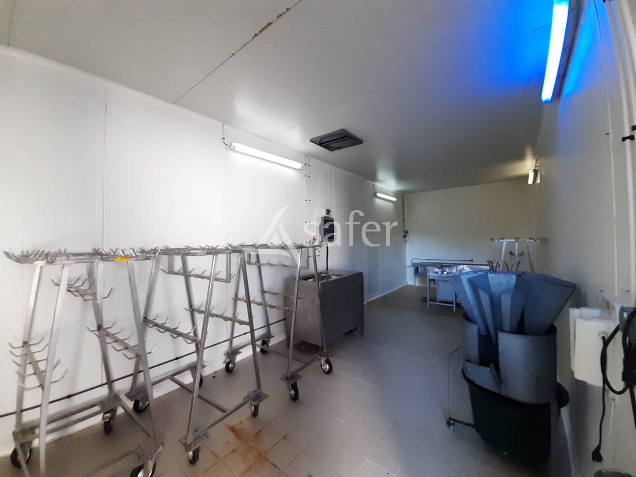 Azienda avicola In vendita Deux-Sèvres