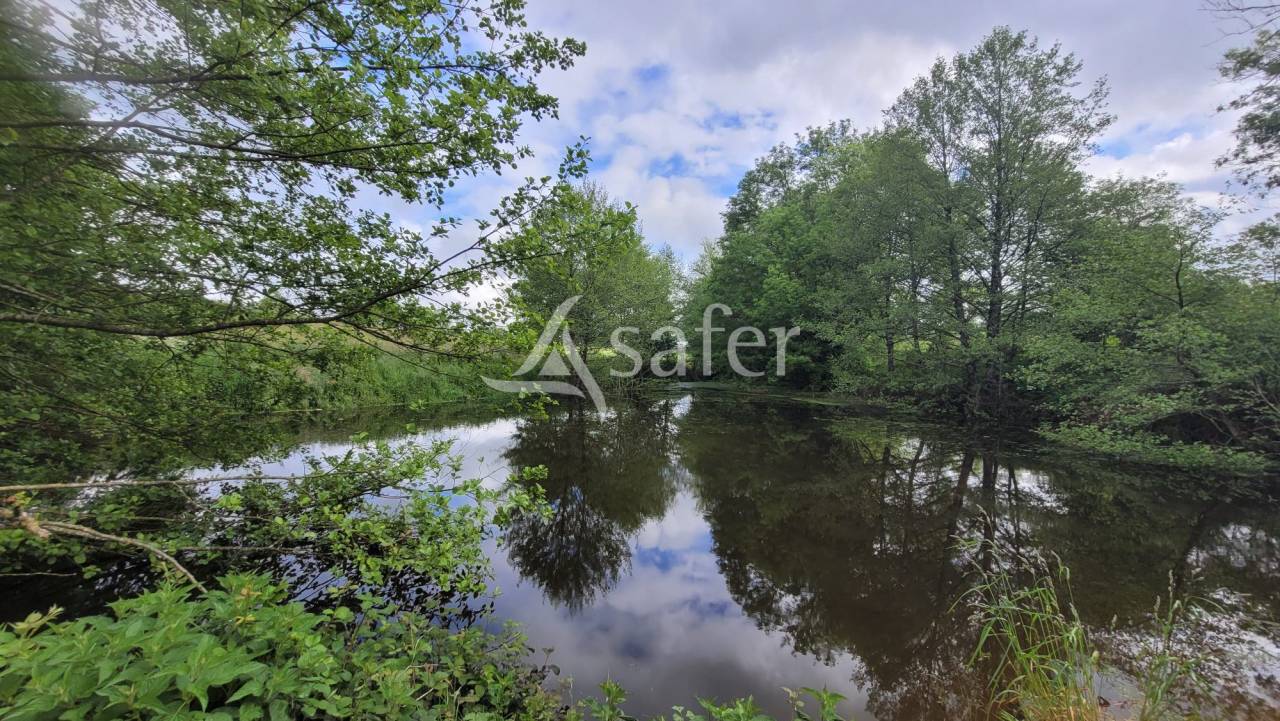 Azienda avicola In vendita Deux-Sèvres