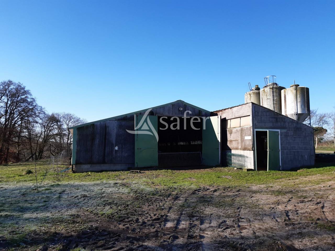 Azienda avicola In vendita Deux-S&egrave;vres