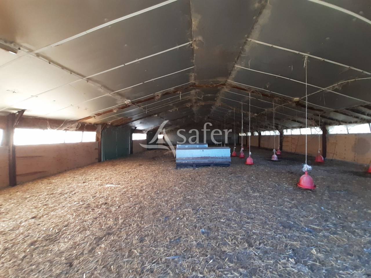 Azienda avicola In vendita Deux-S&egrave;vres