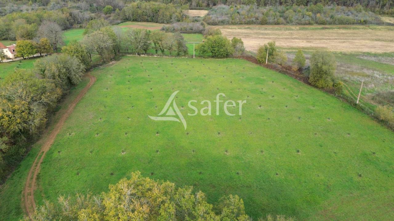 Azienda agricola In vendita Dordogne