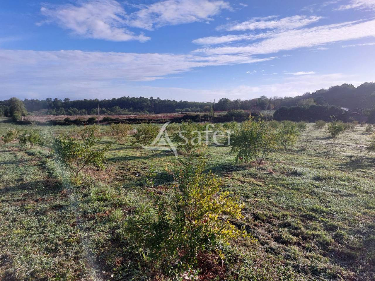 Azienda agricola In vendita Dordogne