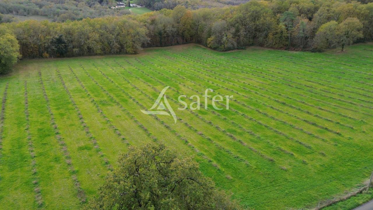 Azienda agricola In vendita Dordogne