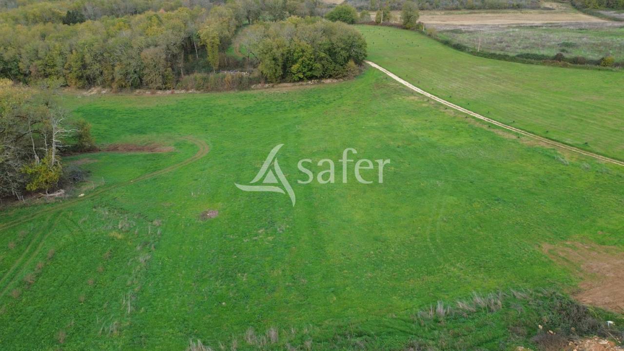 Azienda agricola In vendita Dordogne
