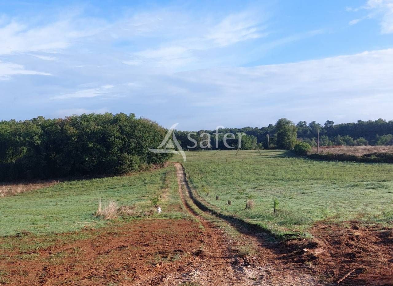 Azienda agricola In vendita Dordogne