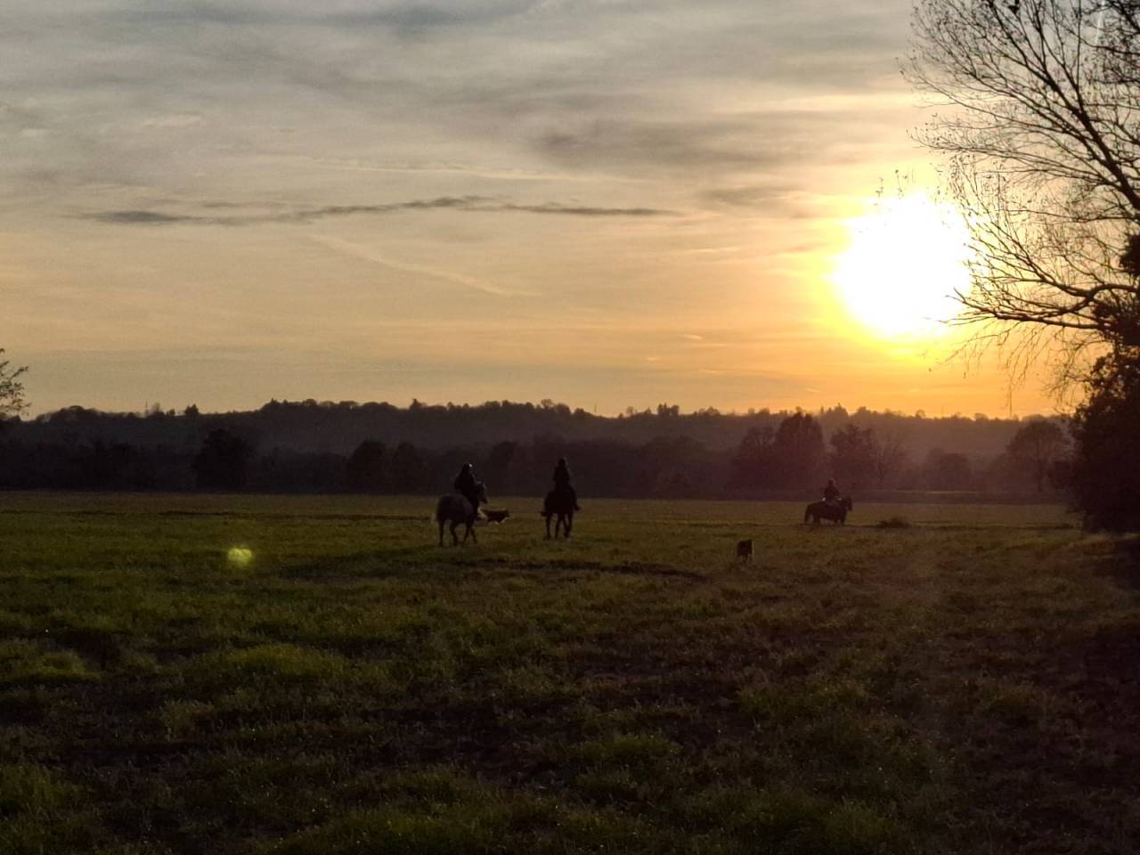 Pensione Cavalli vicino a Milano e Lodi