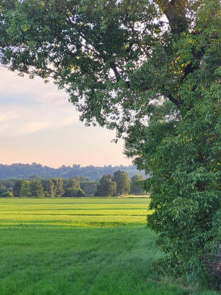 Pensione Cavalli vicino a Milano e Lodi