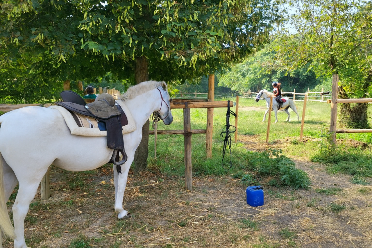 Pensione Cavalli vicino a Milano e Lodi