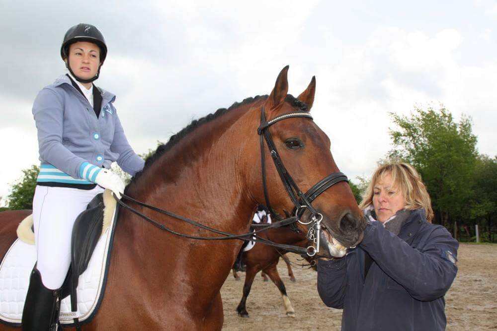 Puledra PRE Andaluso In vendita 2025 Grigio