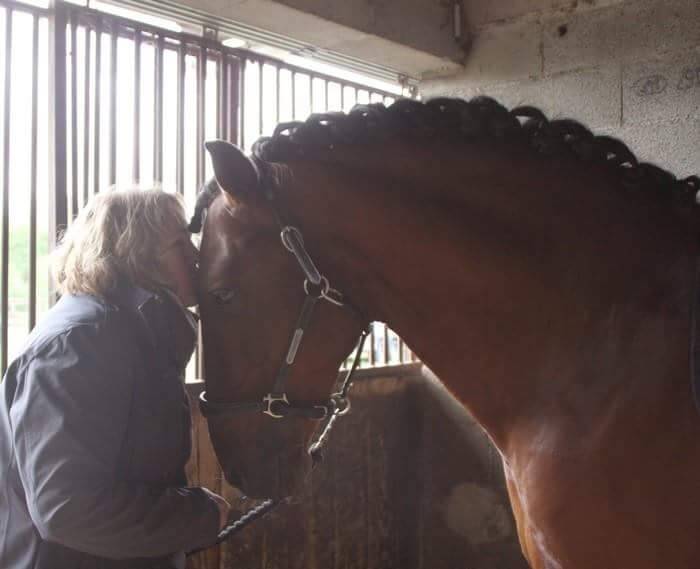 Puledra PRE Andaluso In vendita 2025 Grigio