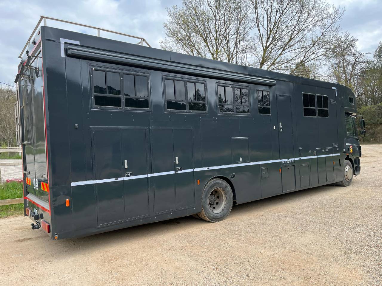 Camion per Cavalli Daf  2004 Occasione