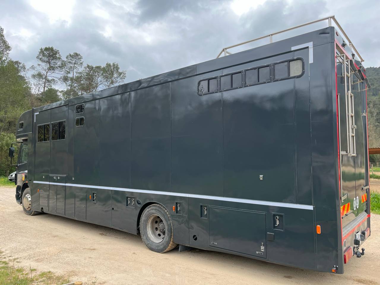 Camion per Cavalli Daf  2004 Occasione