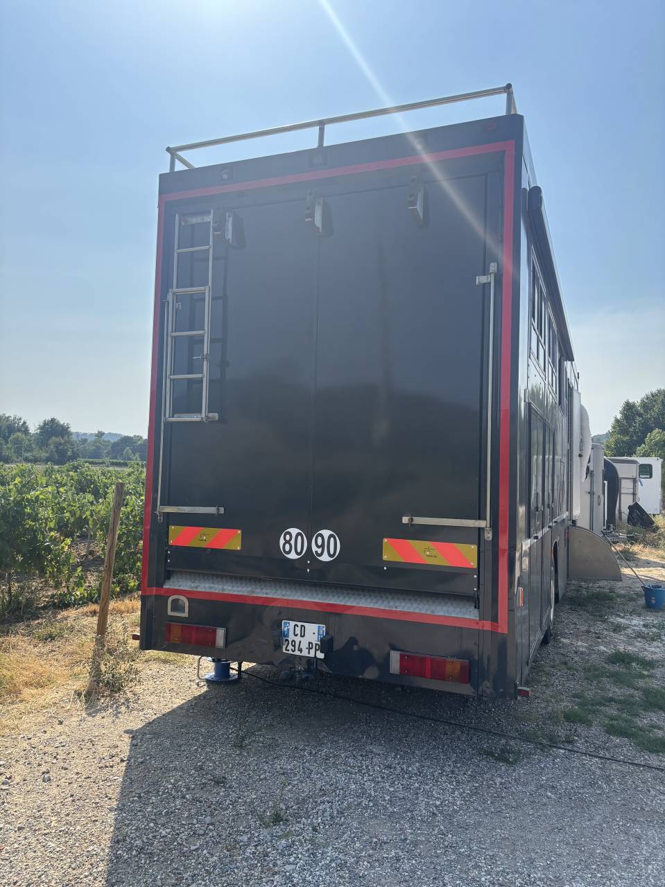 Camion per Cavalli Daf  2004 Occasione
