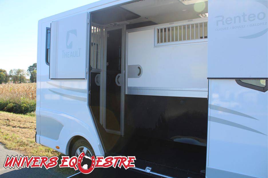 Van per Cavalli Renault  2023 Occasione