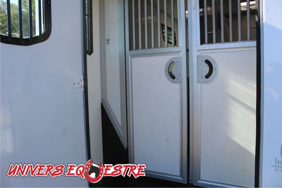 Van per Cavalli Renault  2023 Occasione