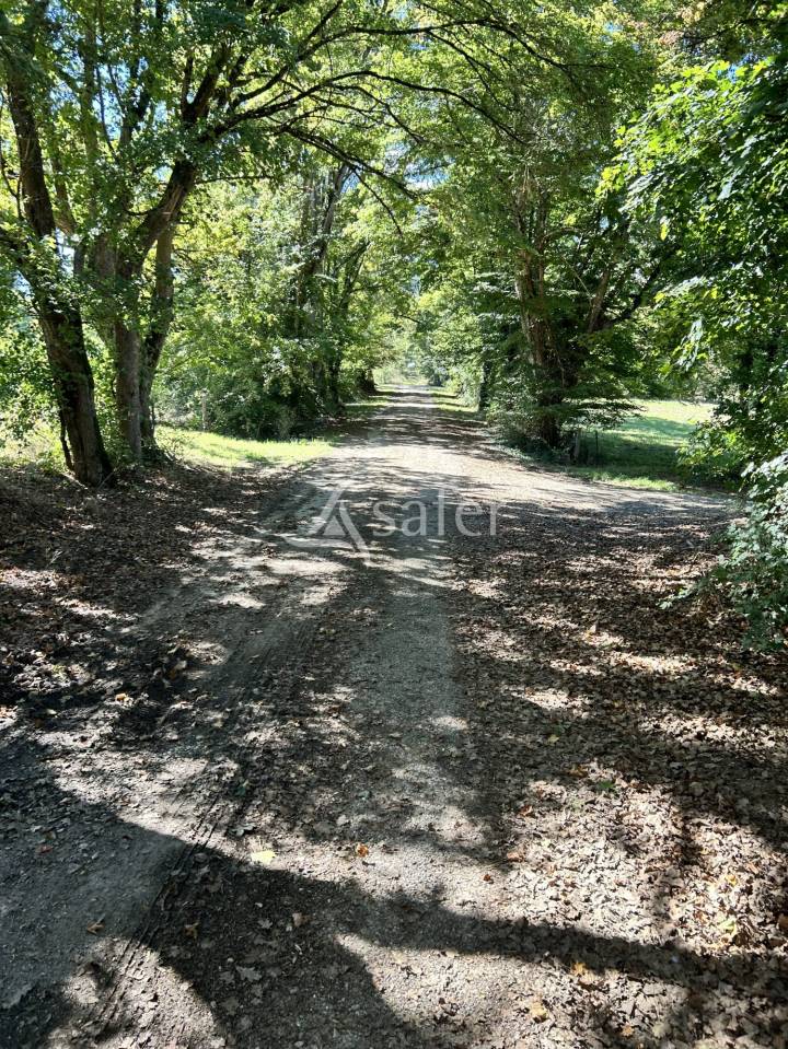 Azienda agricola In vendita Gers