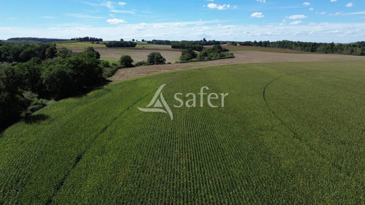 Azienda agricola In vendita Gers