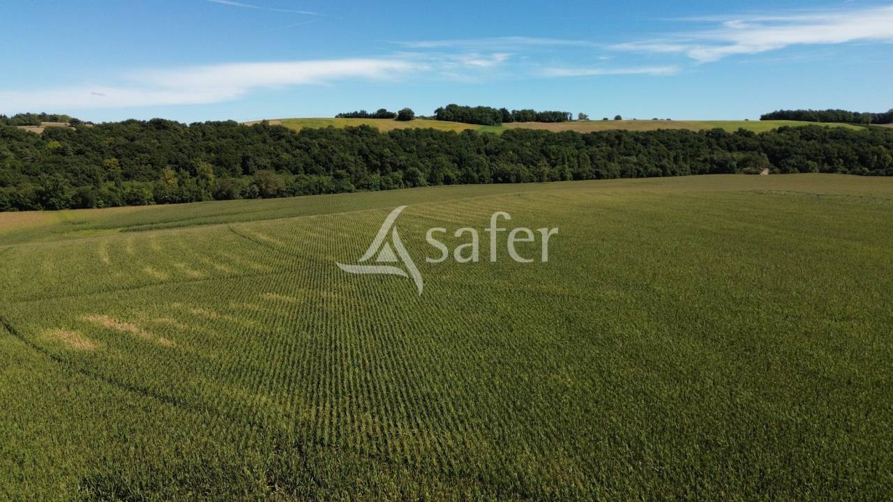 Azienda agricola In vendita Gers