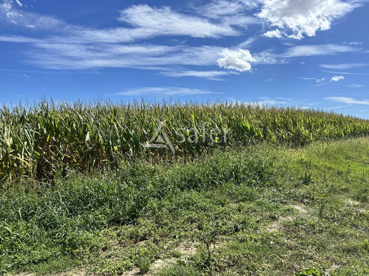 Azienda agricola In vendita Gers