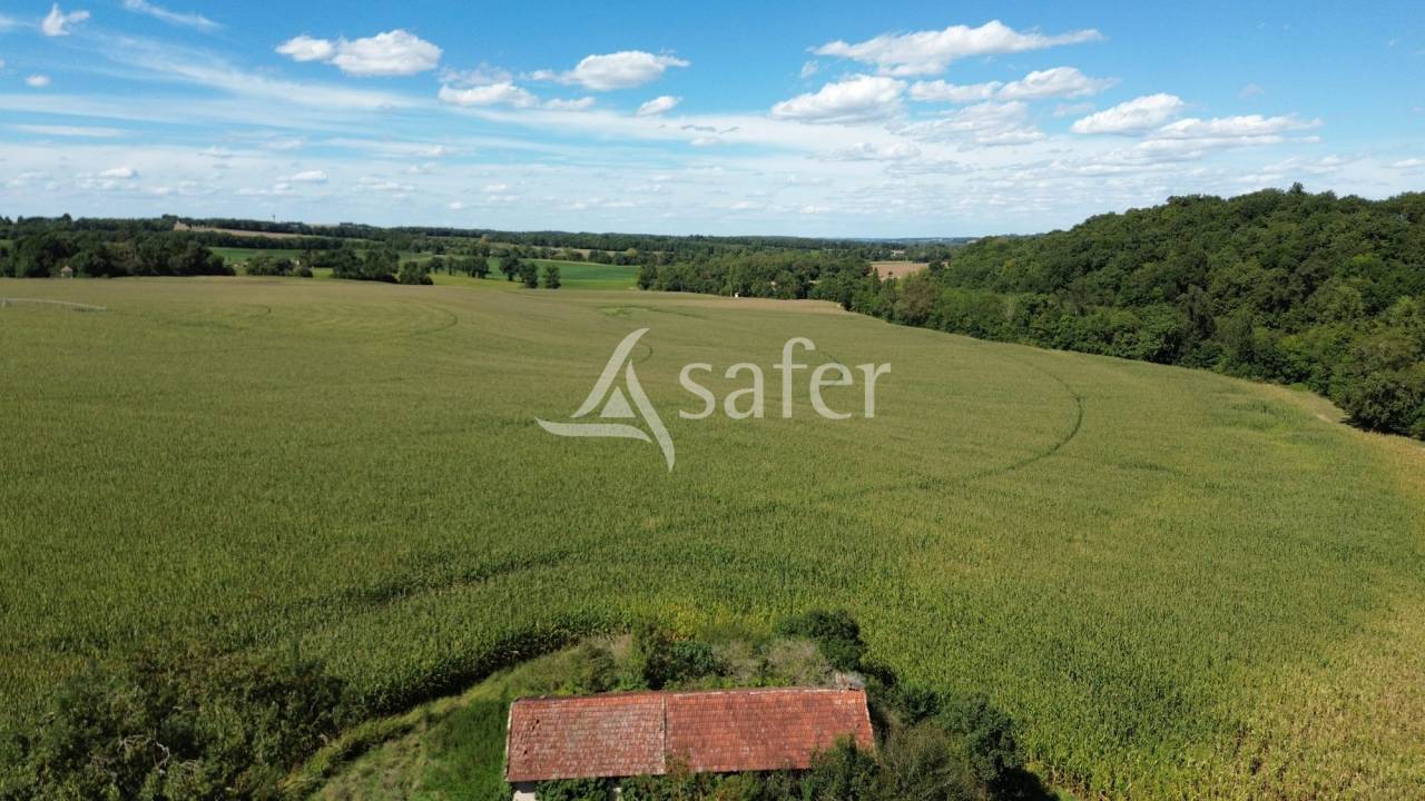 Azienda agricola In vendita Gers