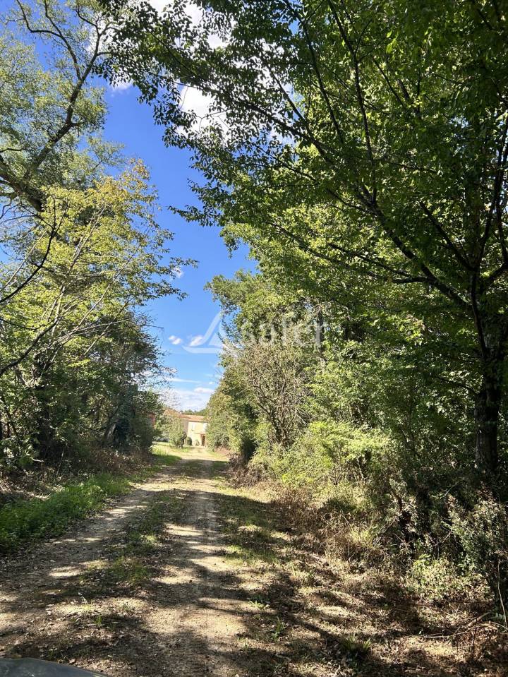 Azienda agricola In vendita Gers