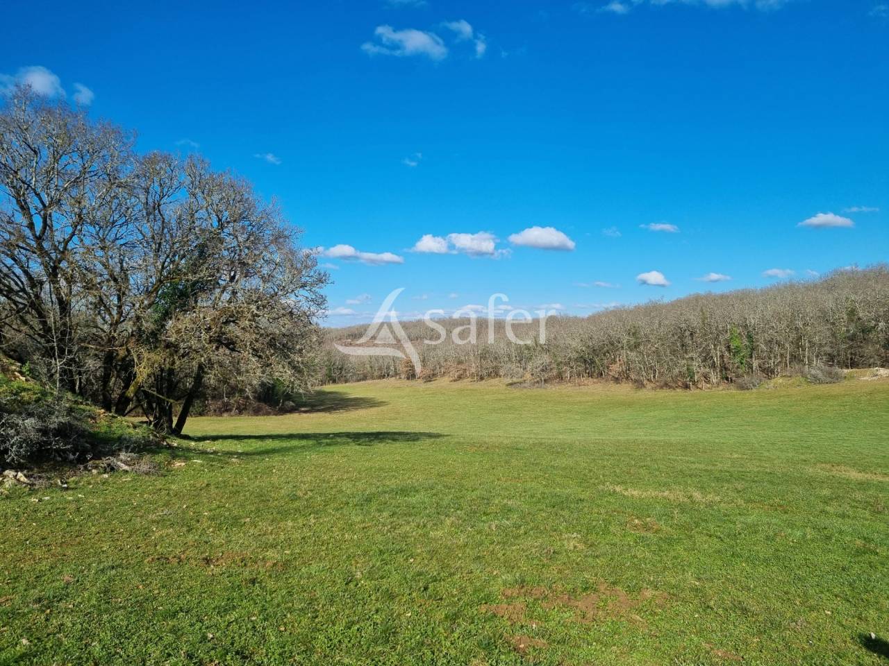 Proprietà rurale In vendita Lot