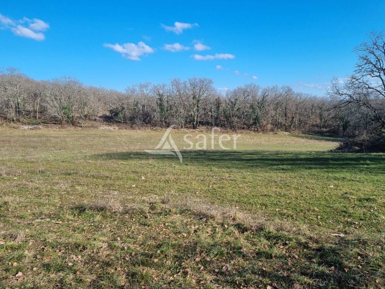 Proprietà rurale In vendita Lot