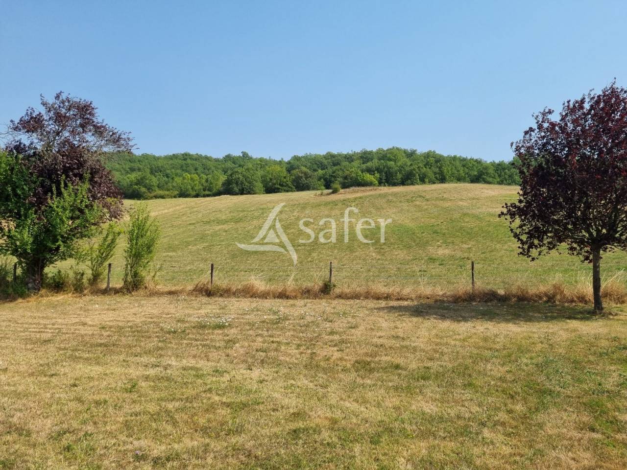 Azienda agricola In vendita Haute-Garonne