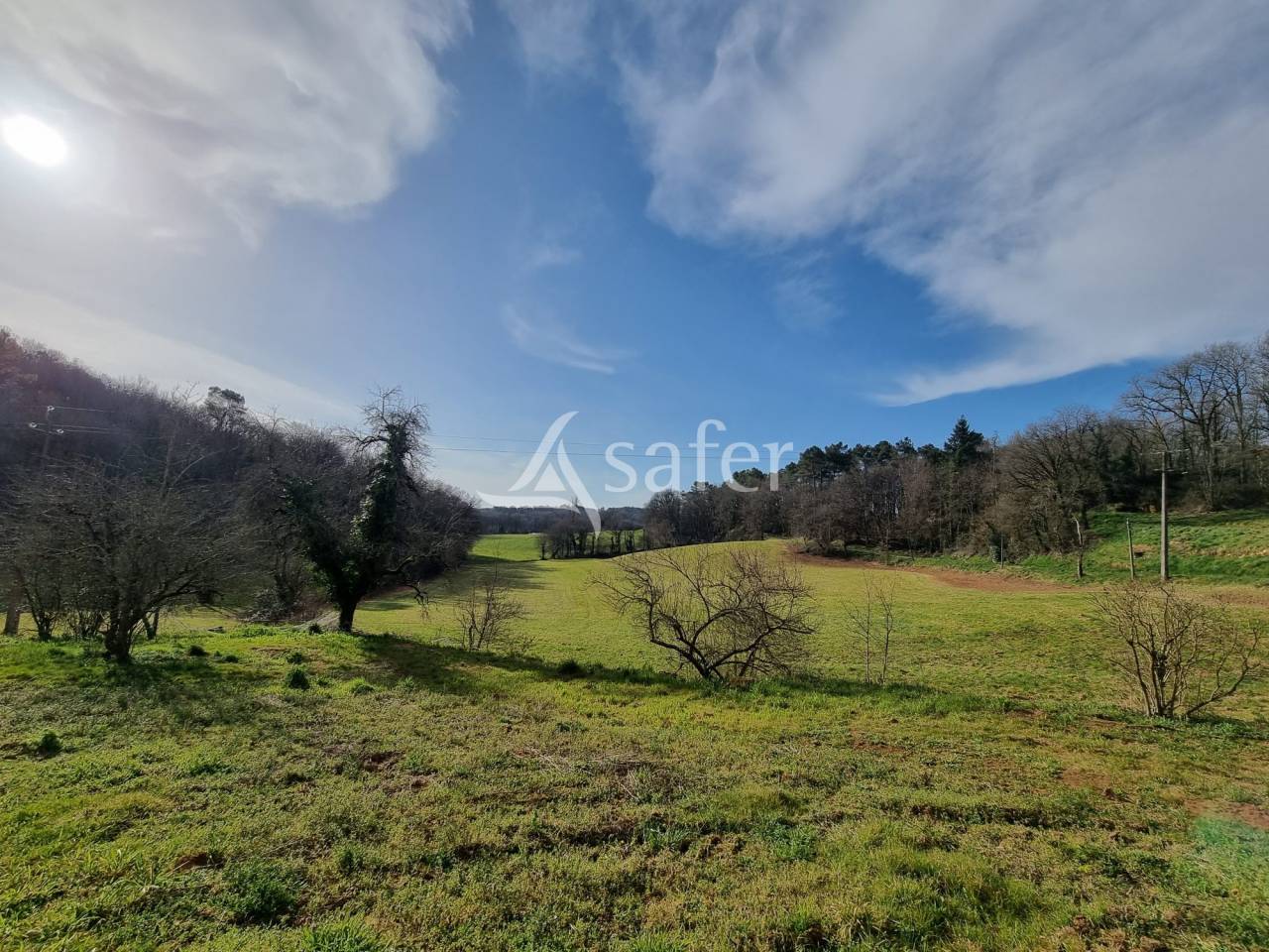 Azienda agricola In vendita Lot