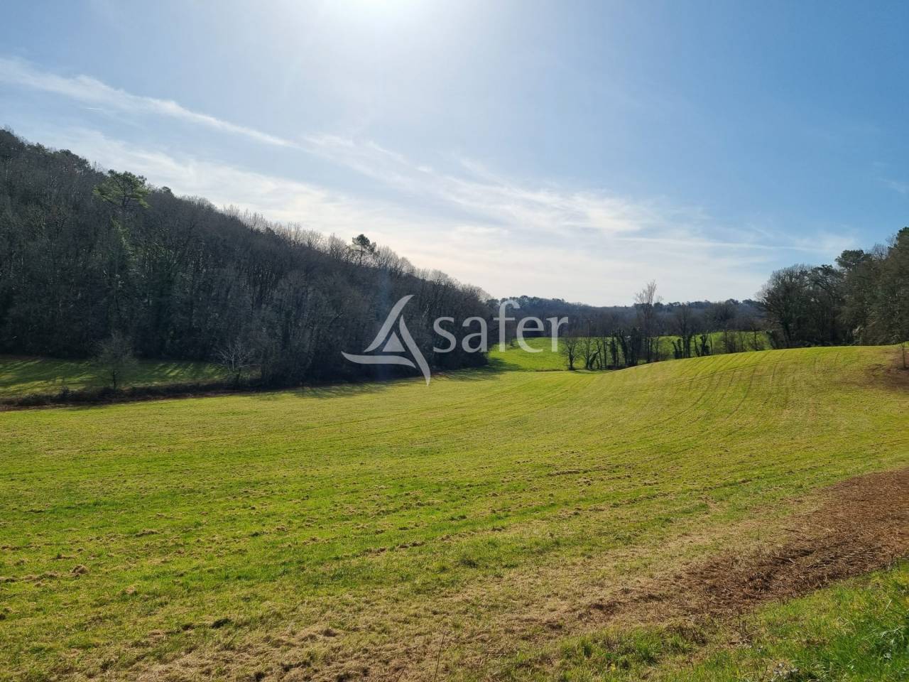 Azienda agricola In vendita Lot