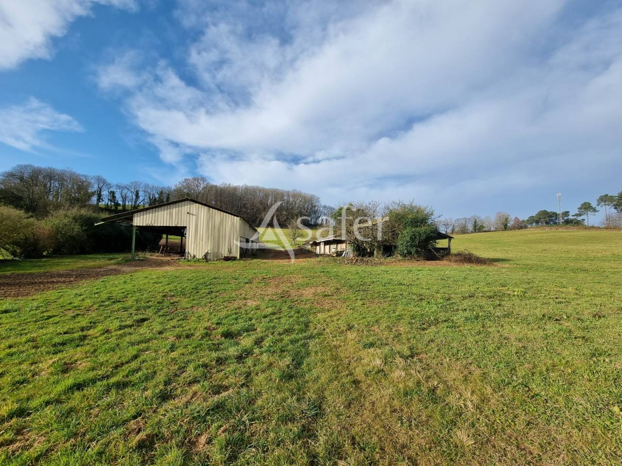 Azienda agricola In vendita Lot