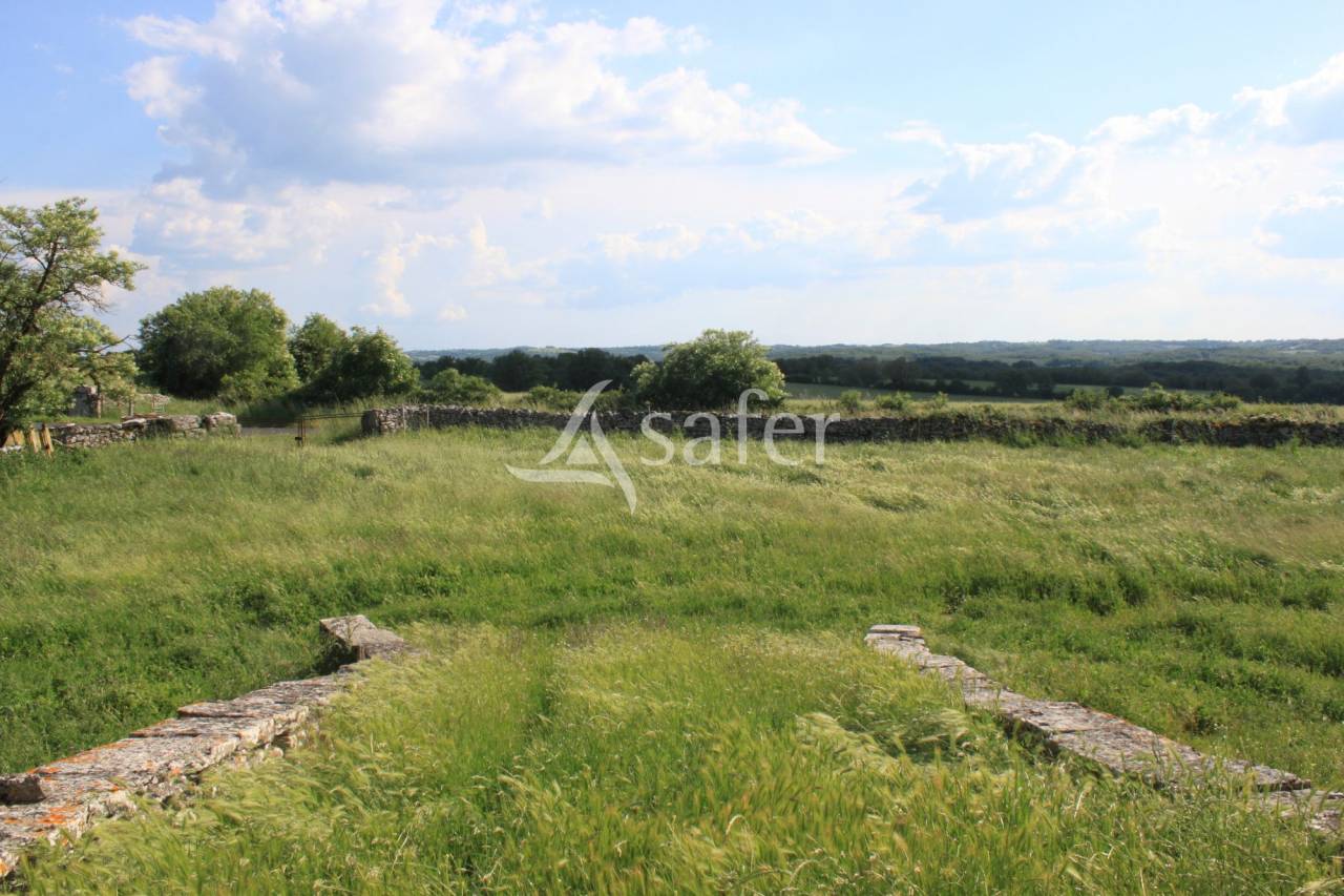 Azienda agricola In vendita Lot