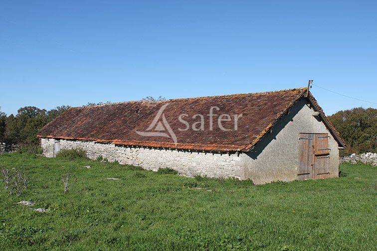 Azienda agricola In vendita Lot