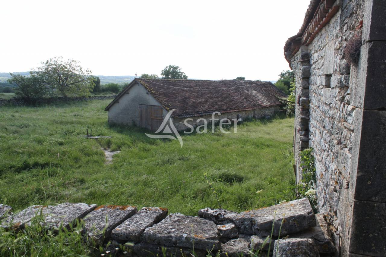 Azienda agricola In vendita Lot