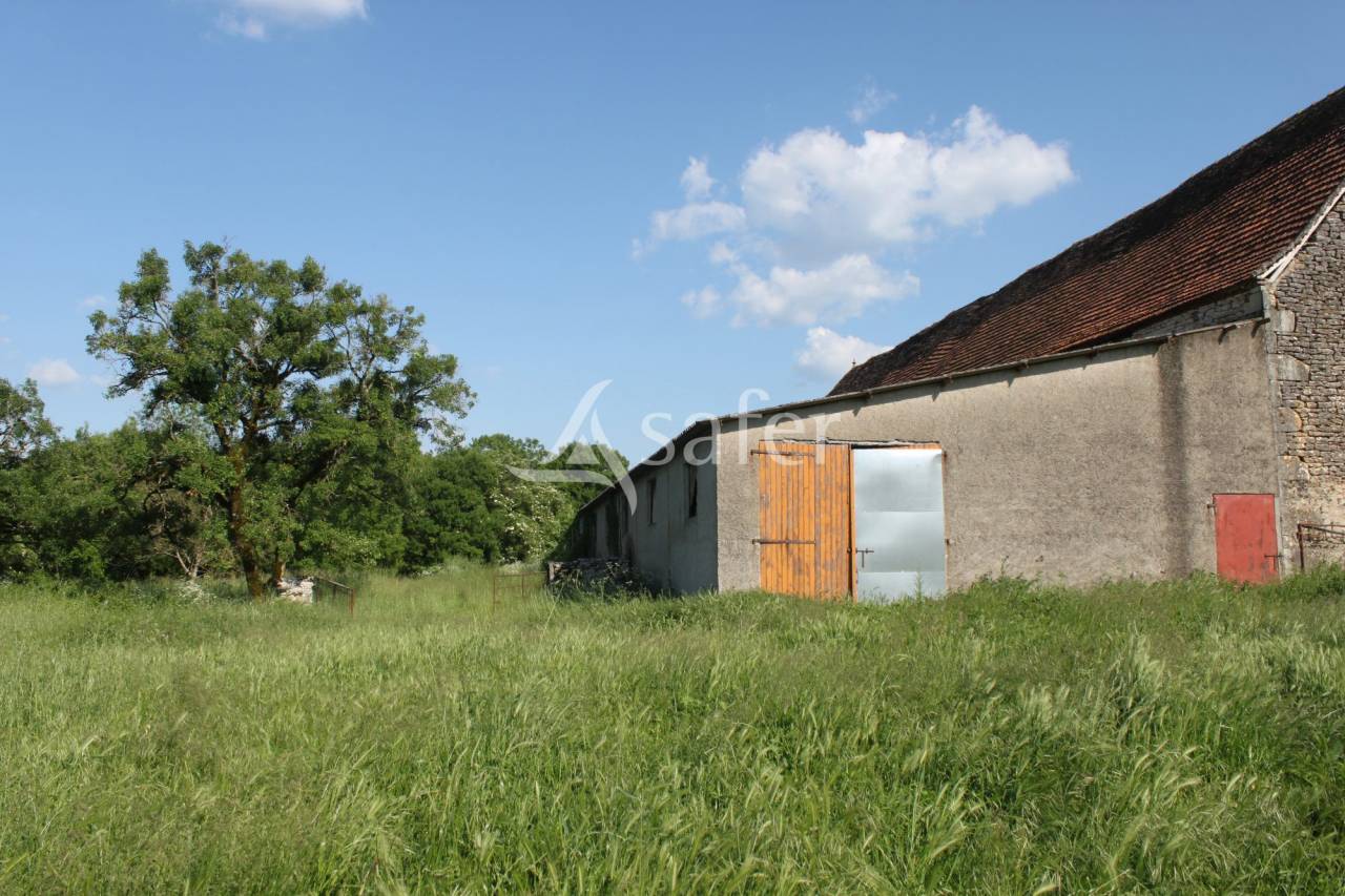 Azienda agricola In vendita Lot