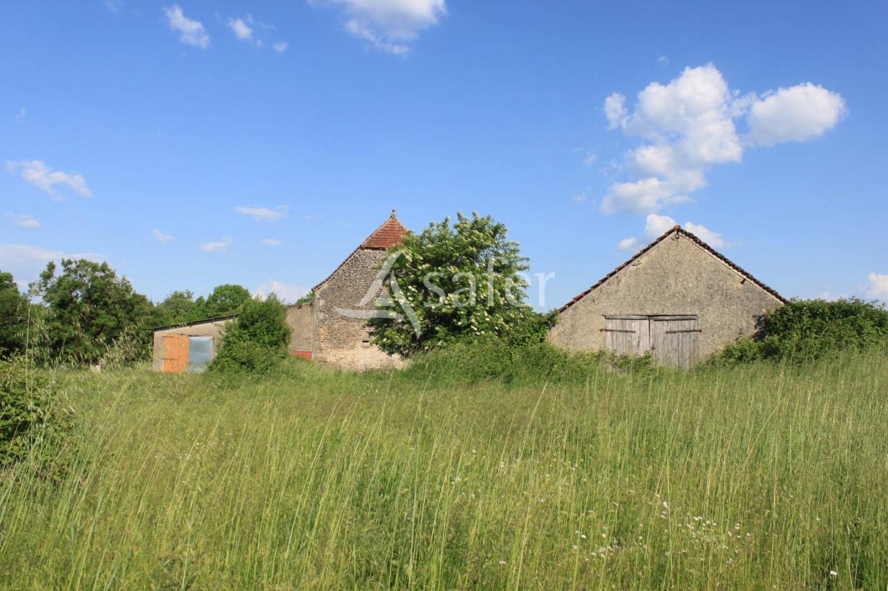 Azienda agricola In vendita Lot