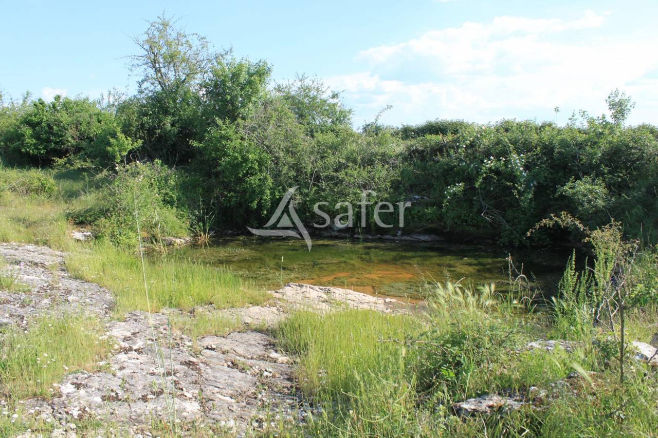 Azienda agricola In vendita Lot