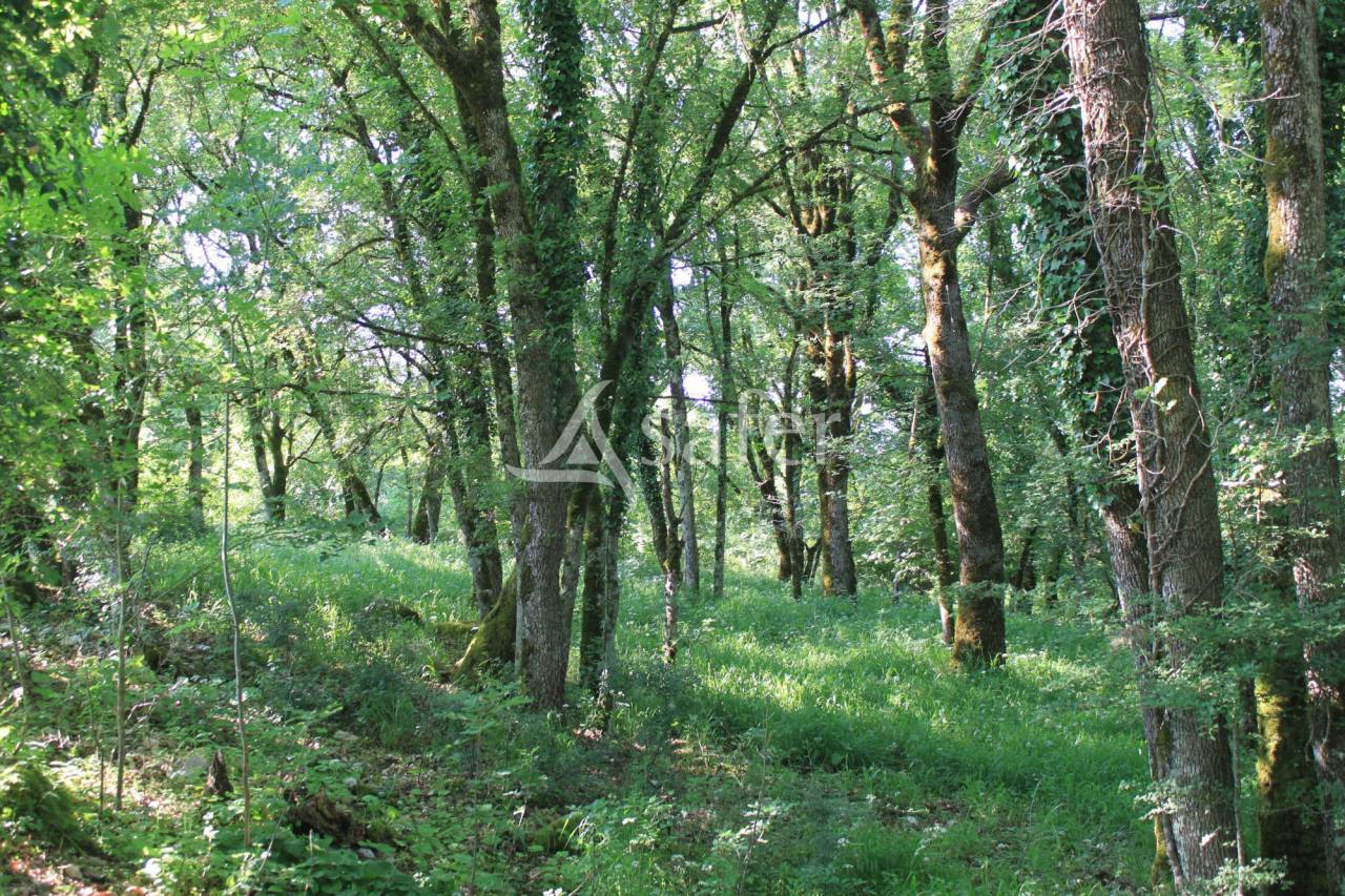 Azienda agricola In vendita Lot