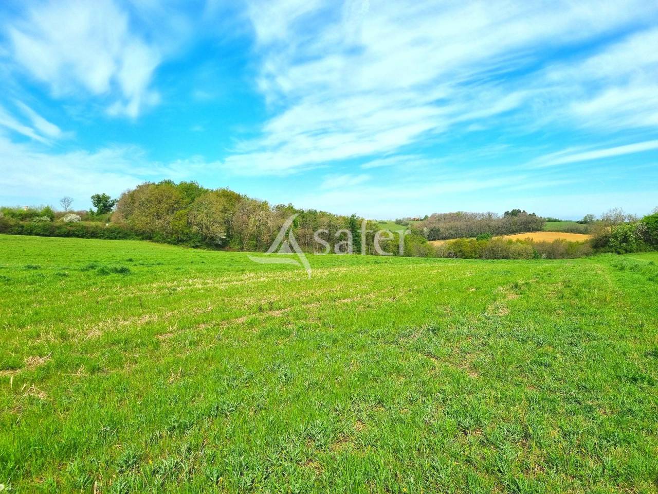Azienda avicola In vendita Tarn-et-Garonne