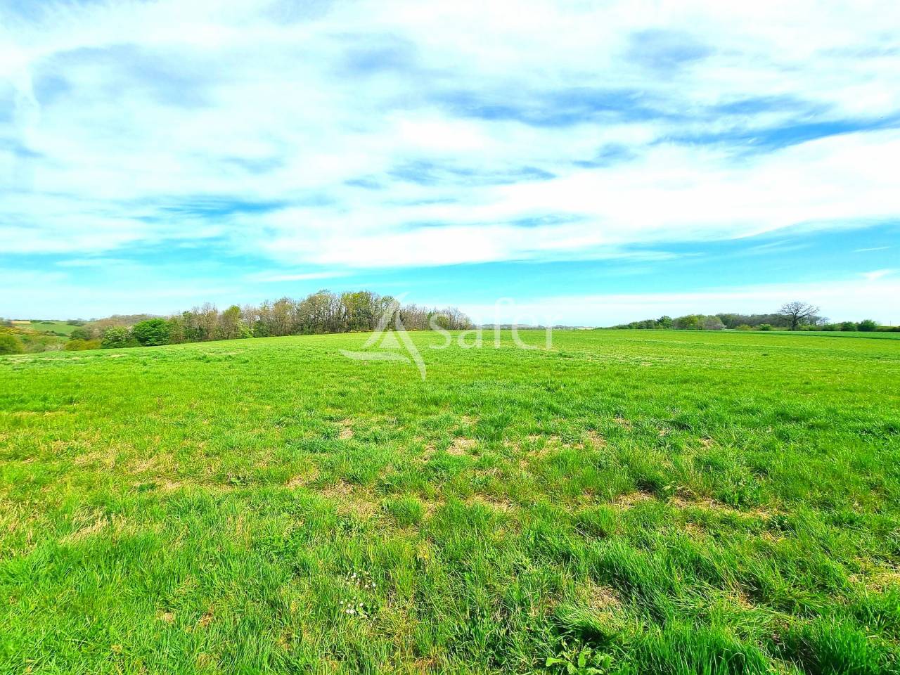 Azienda avicola In vendita Tarn-et-Garonne