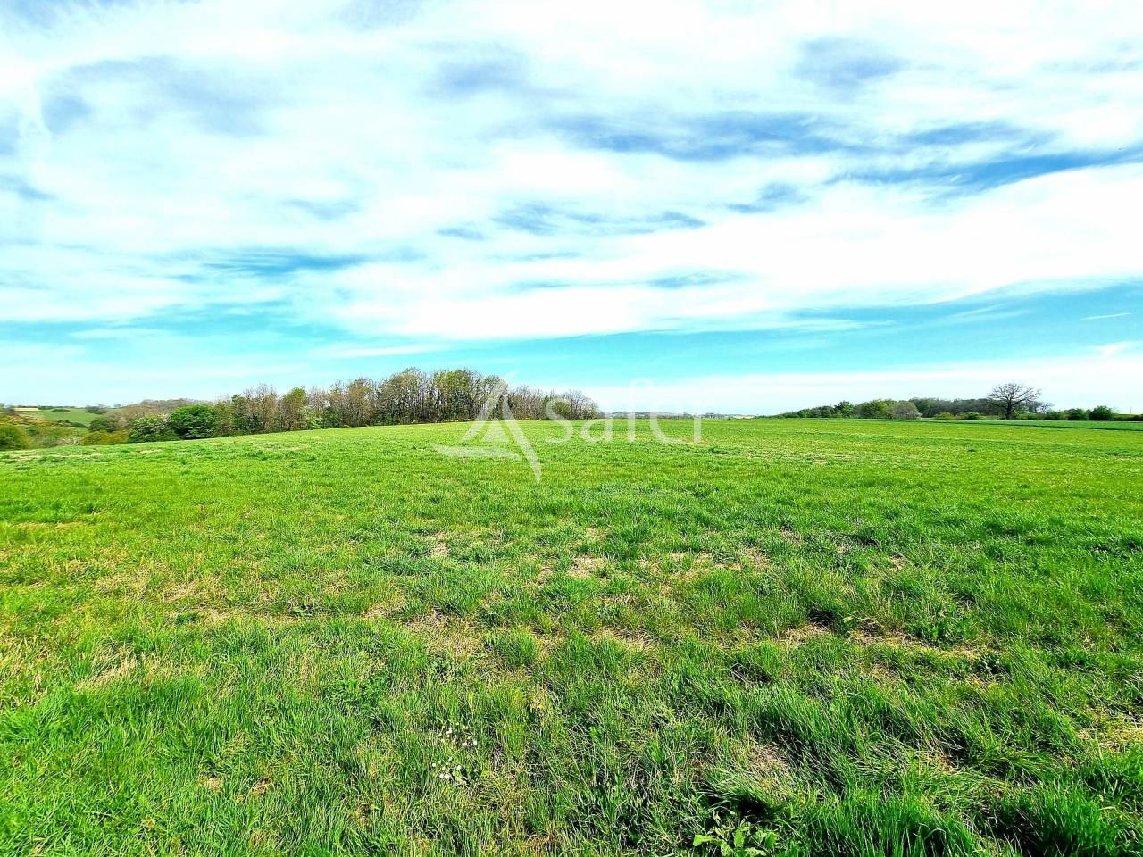 Azienda avicola In vendita Tarn-et-Garonne