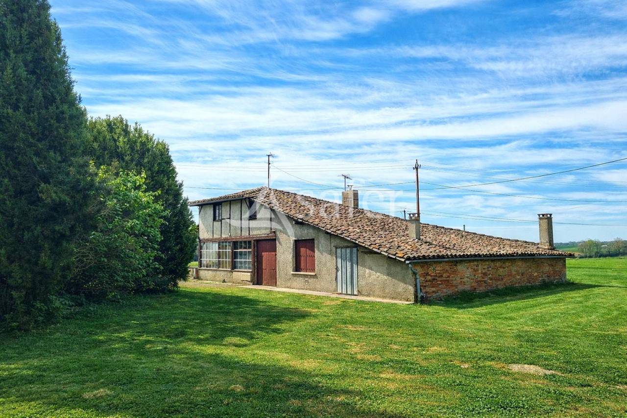 Azienda avicola In vendita Tarn-et-Garonne
