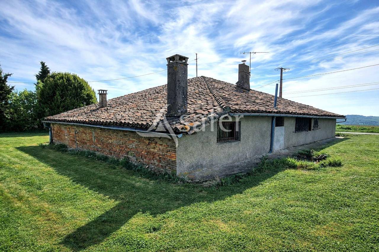 Azienda avicola In vendita Tarn-et-Garonne