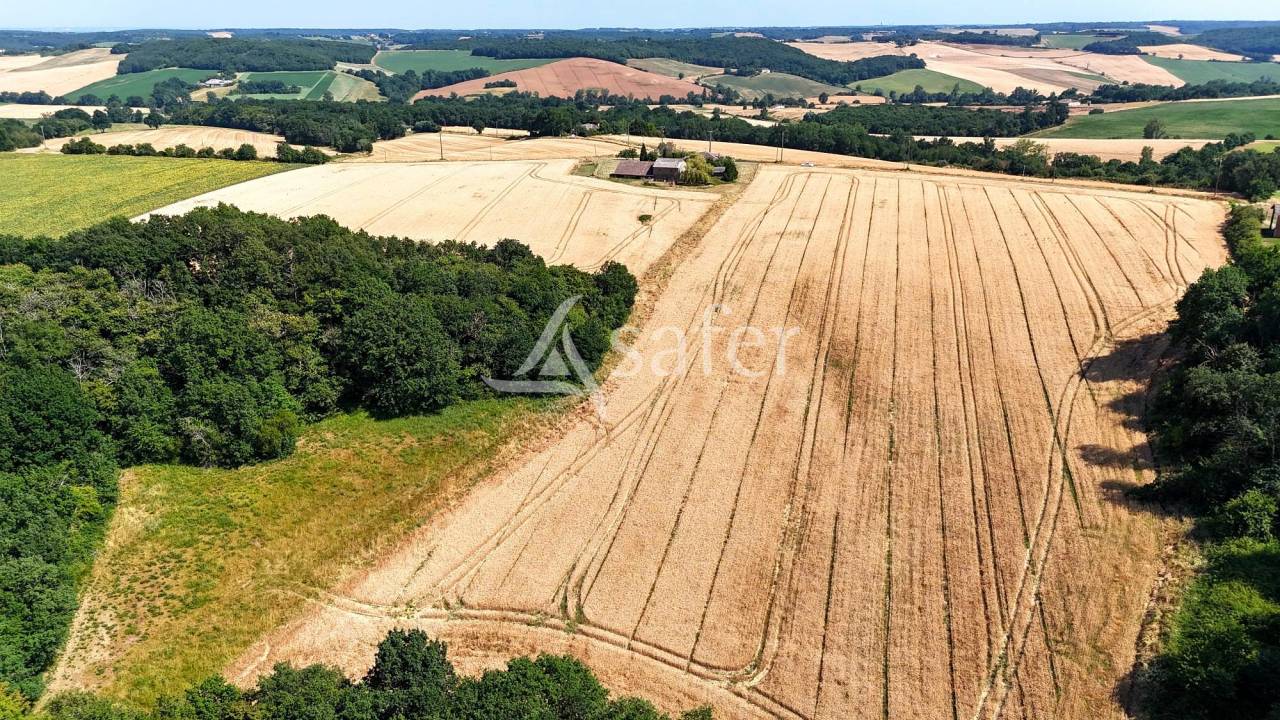Azienda avicola In vendita Tarn-et-Garonne