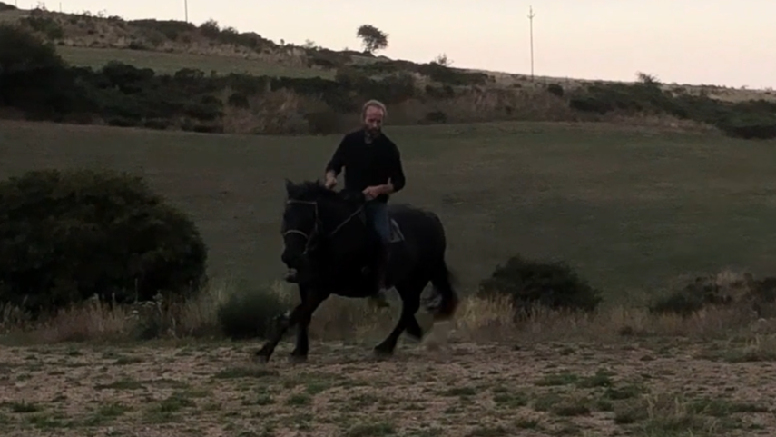 Cavalla Mérens In vendita 2016 Nero