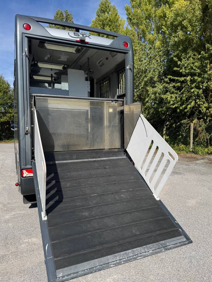 Camion per Cavalli STX SCANIA 2014 Occasione